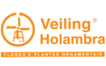 Veiling Holambra