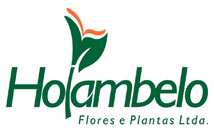 Logo Holambelo