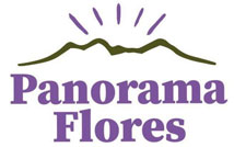 Panorama Flores