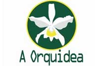 Logo A Orquidea