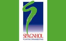 Logo Spagnhol Plantas Ornamentais